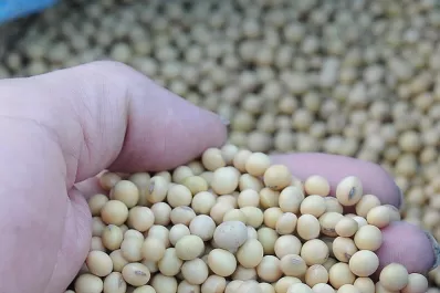 Los productores de granos, frente a un escenario complicado