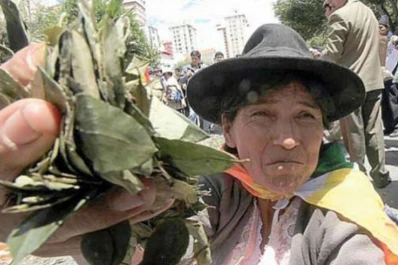 La ONU acepta el masticado de coca como tradición de Bolivia