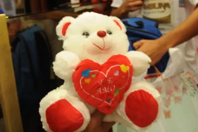 ¿Te gustaría que te regalen un peluche?