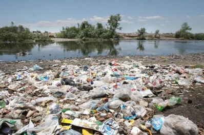 Sólo educando se cambiará la relación hombre-naturaleza