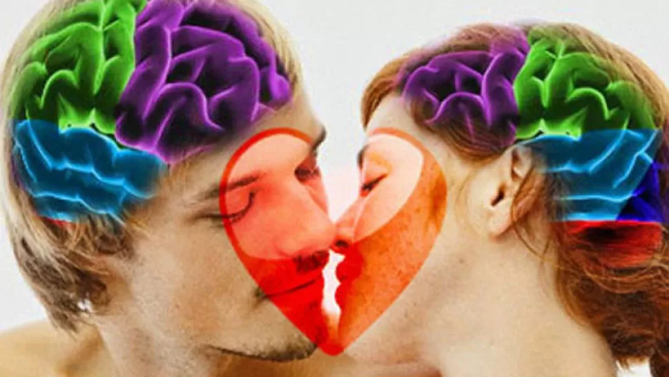 FUNCIONAMIENTO. El cerebro de un enamorado tiene procesos distintivos. FOTO TOMADA DE LAMULA.PE