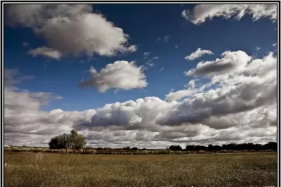 El productor mira al cielo, pero las lluvias que necesitan los cultivos se hacen esperar