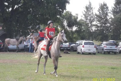 Resistencia y belleza