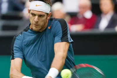 Del Potro se metió en la final de  Rotterdam