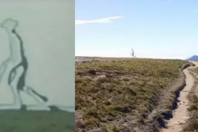 ¿Fotografiaron un extraterrestre fantasma en Taiwán?