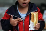 Al fervor panchuquero nada puede detenerlo