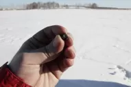 Gramo de meteorito, U$S 2.200