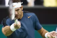 Del Potro no pudo con Simon