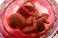 La testosterona define si alguien es más o menos desconfiado