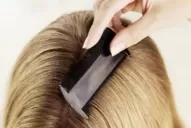 Con las clases vuelven los piojos