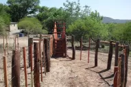 Los productores redujeron las raciones porque tuvieron problemas para armar los silos