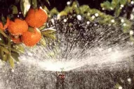 El riego debe hacer un eficiente uso del agua