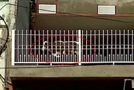 Una vaca vive en la terraza de una casa