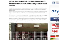 La vaca de la terraza llegó a Venezuela