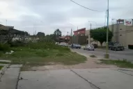 Los carreros tiran basura y las alimañas proliferan