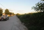Tienen miedo de que el pasto se coma la calle