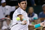 Del Potro se recuperó y le ganó a Murray