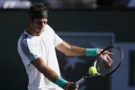 Del Potro, con Ferrer y Djokovic en su horizonte