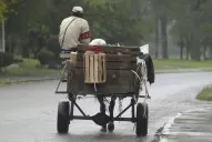 El municipio se prepara para erradicar a cerca de 3.000 carros