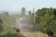 ¿No pueden o no quieren?