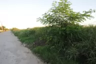 El peligro acecha en una esquina del barrio SEOC III