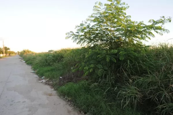 El peligro acecha en una esquina del barrio SEOC III