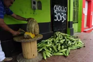 El choclo no le escapa a la inflación y, en un año, el precio subió casi un 22%