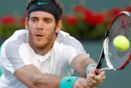 Del Potro se bajó del torneo de Montecarlo