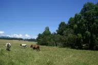 La Mesa de Enlace delibera el lunes en la Sociedad Rural