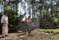 Capacitan a los productores sobre cómo deben proceder