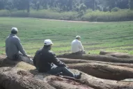 El PE se comprometió a saldar una deuda con los bosques