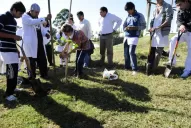Mucho verde y sombra para frenar la deforestación