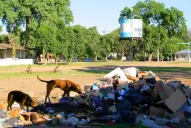 Los residuos de Juan B. Alberdi se acumulan en cinco basurales