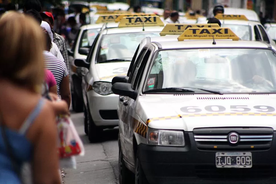 CAUSA EN TRÁMITE. La denuncia por la existencia de taxis truchos fue presentada por la concejala Manzone. LA GACETA / FOTO DE EZEQUIEL LAZARTE (ARCHIVO)
