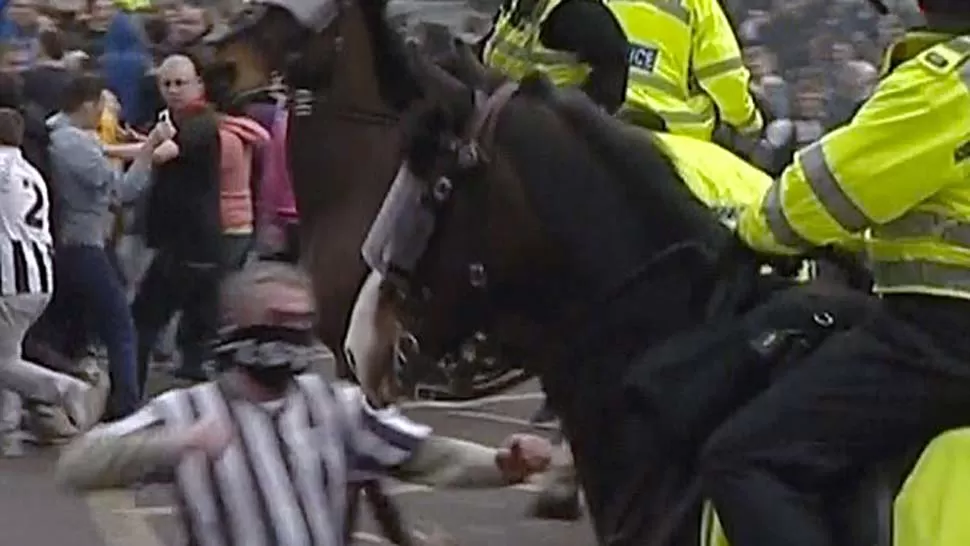 AGRESIVO. Momento en que el fanático del Newcastle se apresta a golpear el caballo. FOTO TOMADA DE THESUN.COM.UK