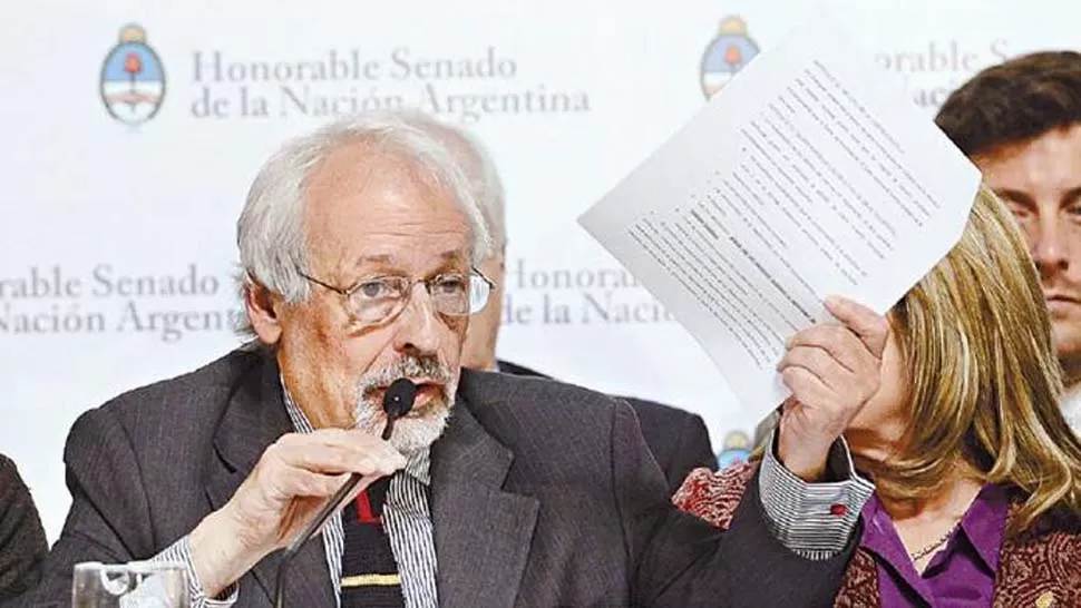 CAUTELARES. Horacio Vertibisky cuestionó puntos del proyecto de ley de reforma judicial. FOTO TOMADA DE CLARIN.COM