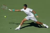 Alta meta para Delpo en 2013