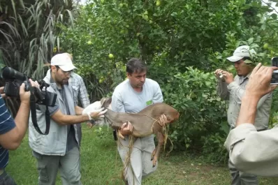 Fue a pasear a un country, la rescataron y volvió a la Sierra de San Javier