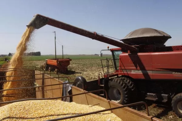 El Gobierno retendrá $ 284 millones por soja