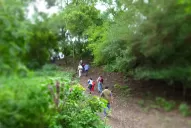 Perfil de la comuna de El Puestito