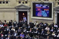 Un diputado opositor le tiró un botellazo a Agustín Rossi