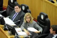 La UCR indaga a García por haber votado con el PJ