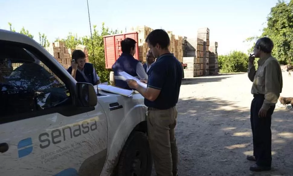 EN CAMPAÑA. Inspectores del Senasa trabajan en un empaque de limones. GENTILEZA SENASA
