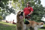 Cuando las personas se pierden, Konok y Simón salen a buscarlas