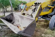 Envenenan a más de 100 perros en Córdoba