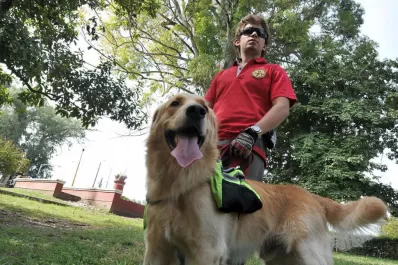 Cuando las personas se pierden, Konok y Simón salen a buscarlas