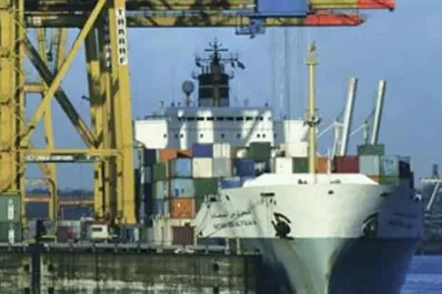 Crece el ritmo de liquidación de divisas de las exportaciones