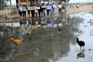 El centro del pueblo es una laguna formada por una pérdida que lleva 50 años