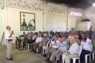 La nueva variedad TUC 00-19 permitirá adelantar la cosecha con resultados ventajosos