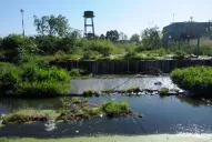 La laguna contaminada alejó a los chicos de las veredas